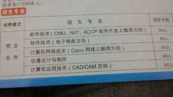 大學軟件測試方向專業選擇指南 計算機網絡、計算機應用與軟件技術深度解析